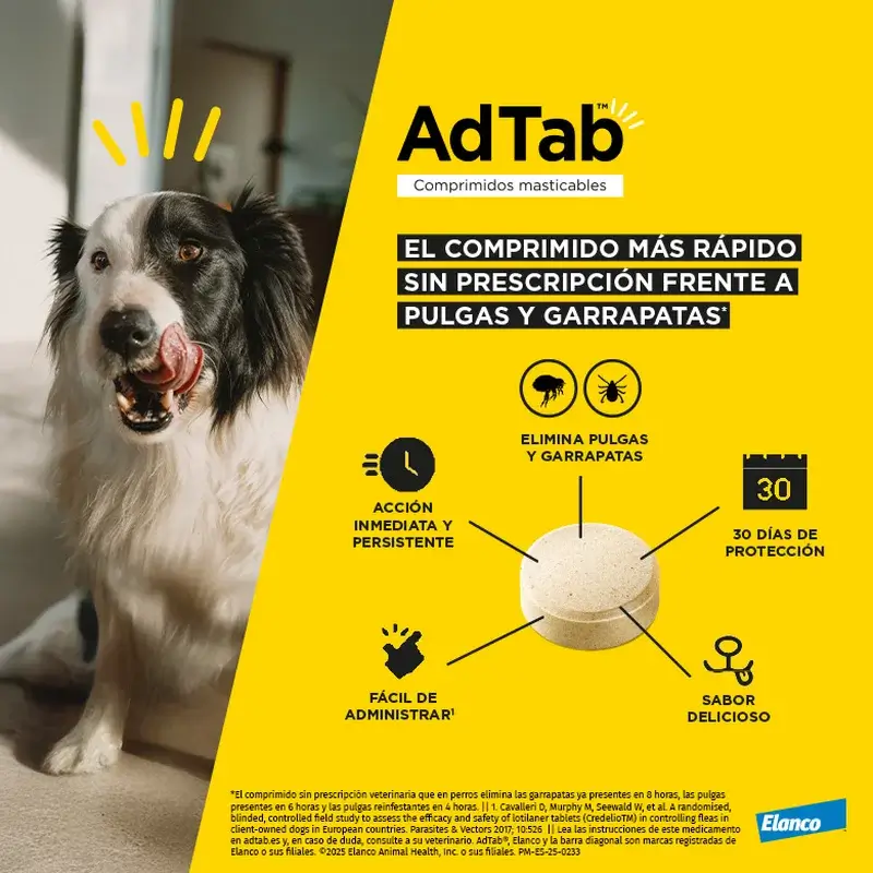 Adtab 112Mg Comp. Masticables Perros 2,5-5,5Kg, 6 Comprimidos - Image 2