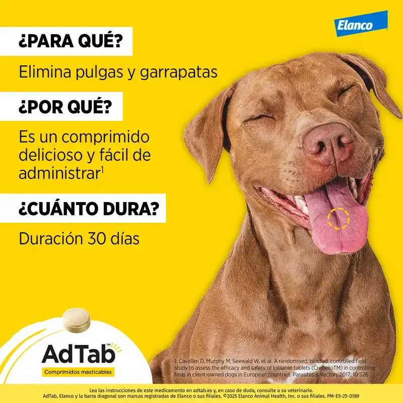 Adtab 112Mg Comp. Masticables Perros 2,5-5,5Kg, 6 Comprimidos - Image 8