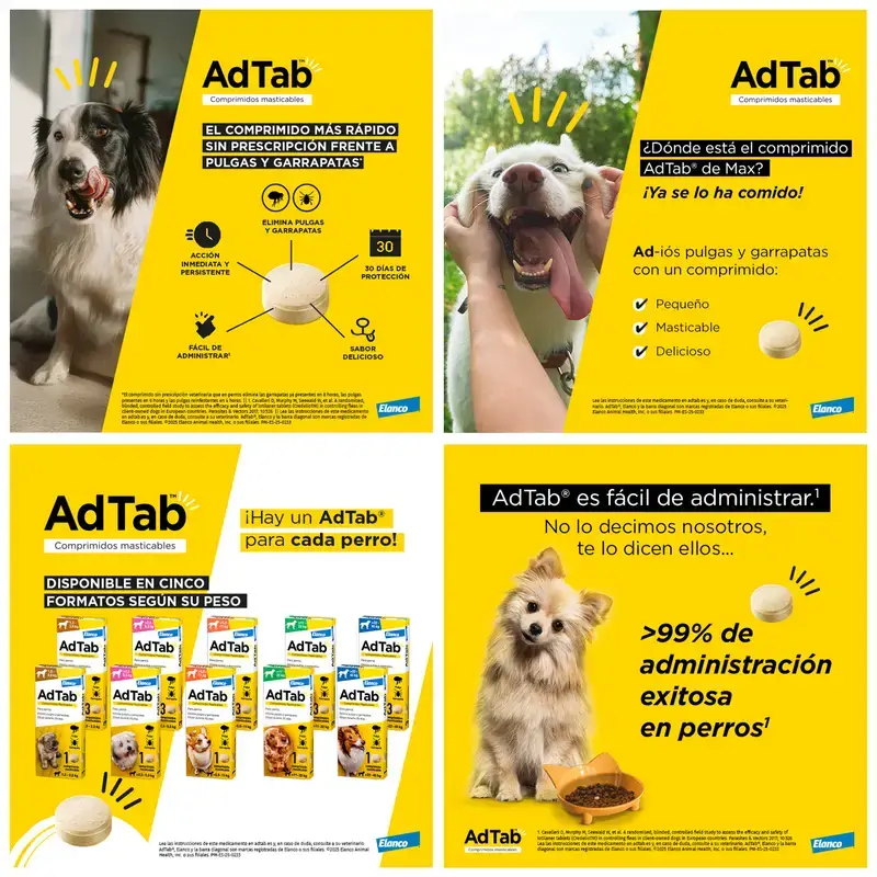 Adtab 112Mg Comp. Masticables Perros 2,5-5,5Kg, 6 Comprimidos - Image 9