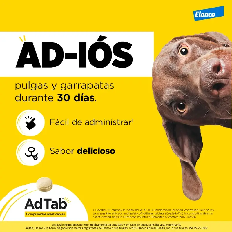 Adtab 900Mg Comprimidos Masticables Perros 22-45Kg, 2 Comprimidos - Image 7