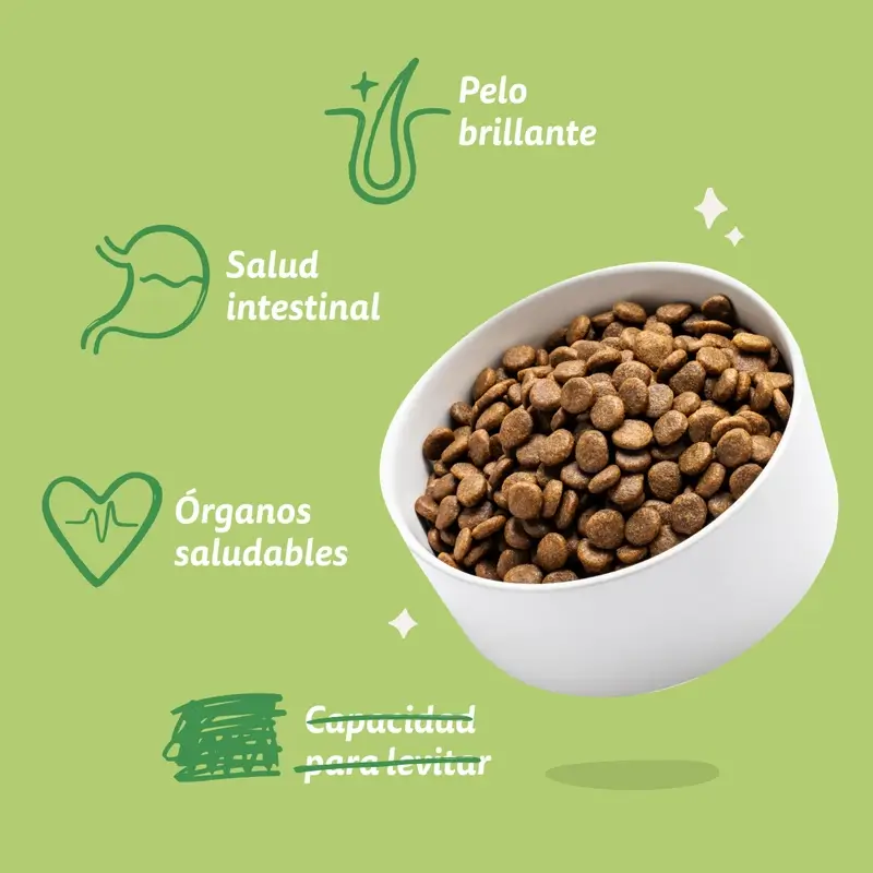 Edgard & Cooper Pienso Para Perros Adultos Medianos Con Cordero Fresco , 1 kg - Image 8