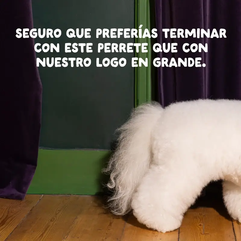 Edgard & Cooper Pienso Para Perros Adultos Mini Con Pollo Fresco , 0,7 kg - Image 10