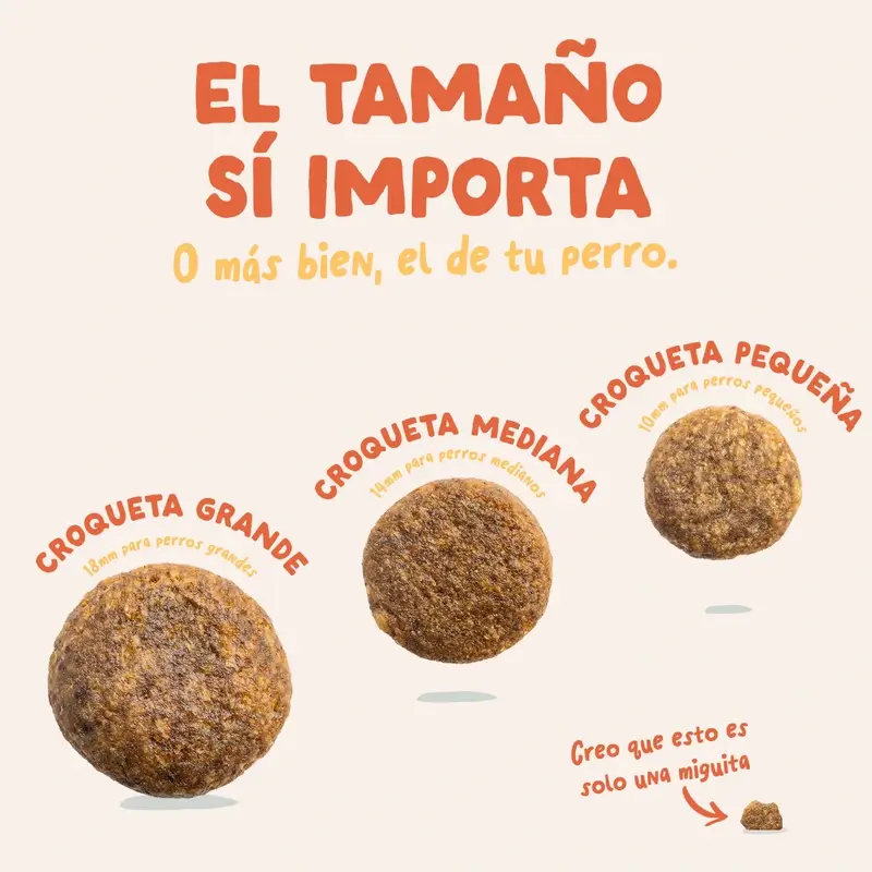 Edgard & Cooper Pienso Para Perros Adultos Mini Con Pollo Fresco , 0,7 kg - Image 6