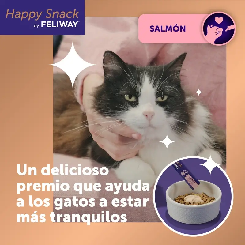 Feliway Happy Snack Sabor Salmón, 24 sobres - Image 2