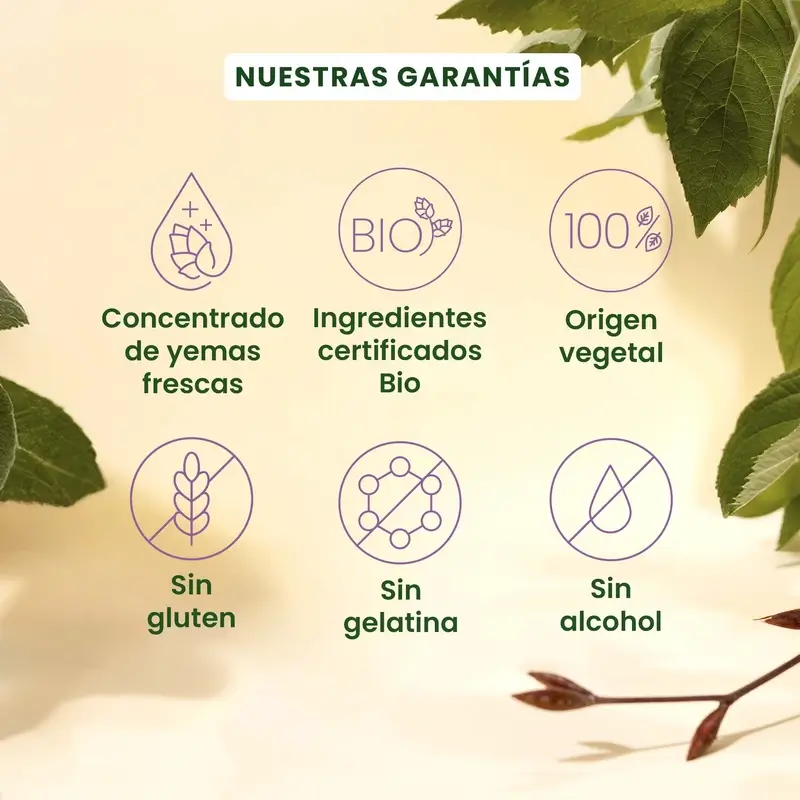 Herbalgem Gemmocaps Stress Protect Ánimo +, 30 cápsulas - Image 3