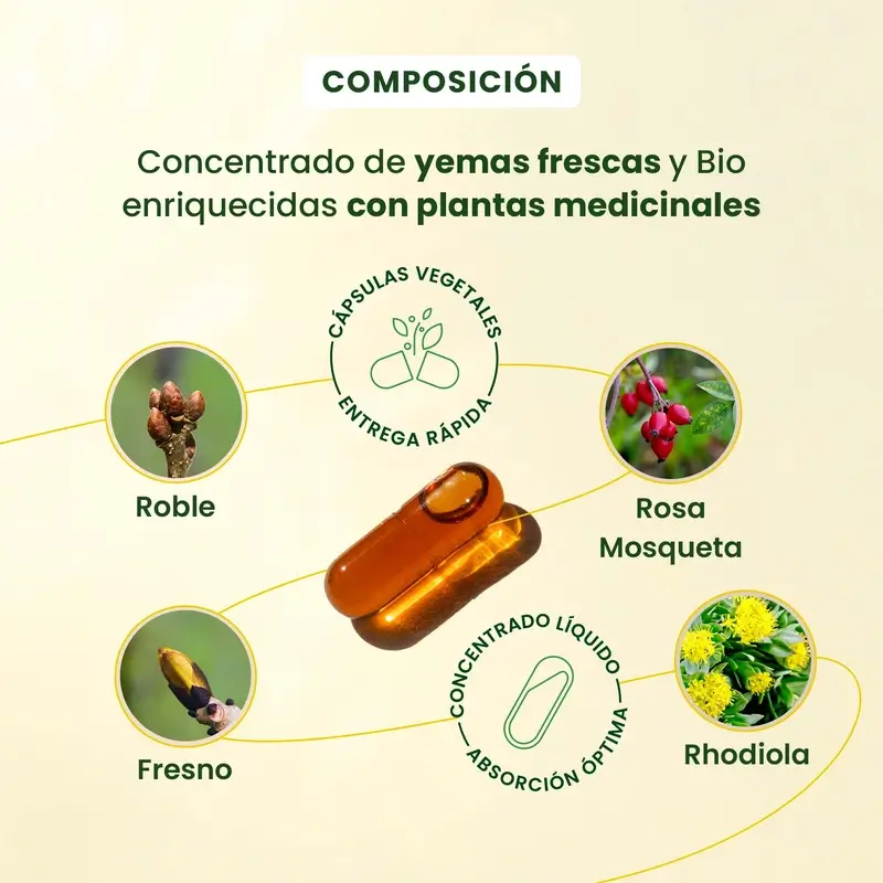 Herbalgem Gemmocaps Stress Protect Ánimo +, 30 cápsulas - Image 4