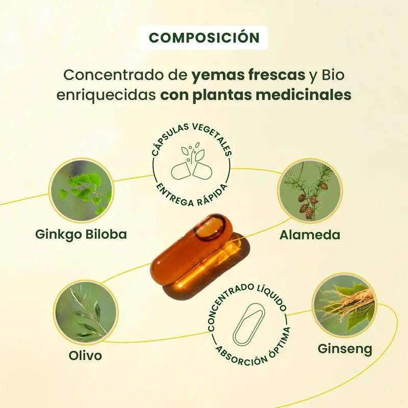 Herbalgem Gemmocaps Stress Protect Cognición, 30 cápsulas - Image 4