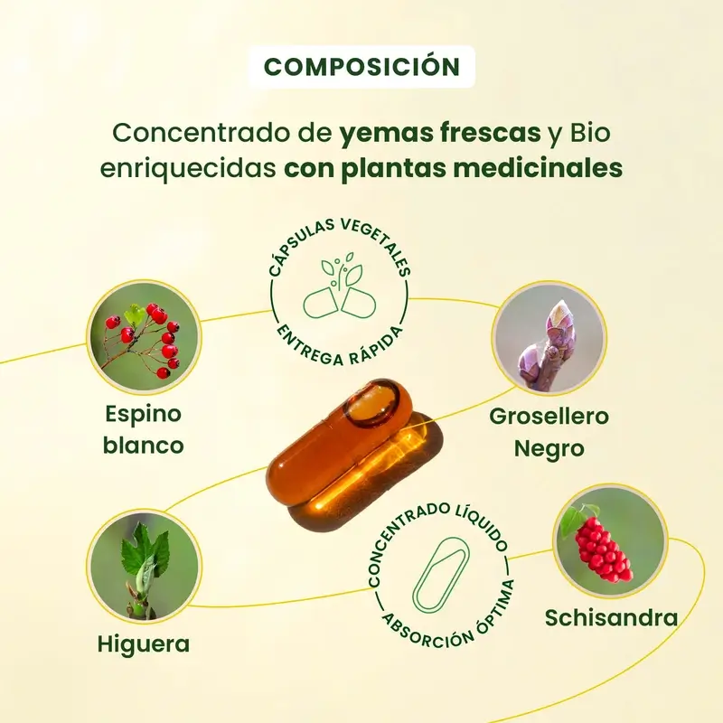 Herbalgem Gemmocaps Stress Protect Relax, 30 cápsulas - Image 4
