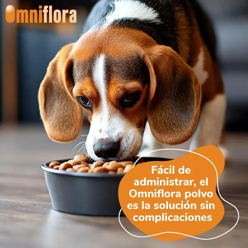 Omniflora Polvo Oral, 30 Sobres x 2 gr - Image 3