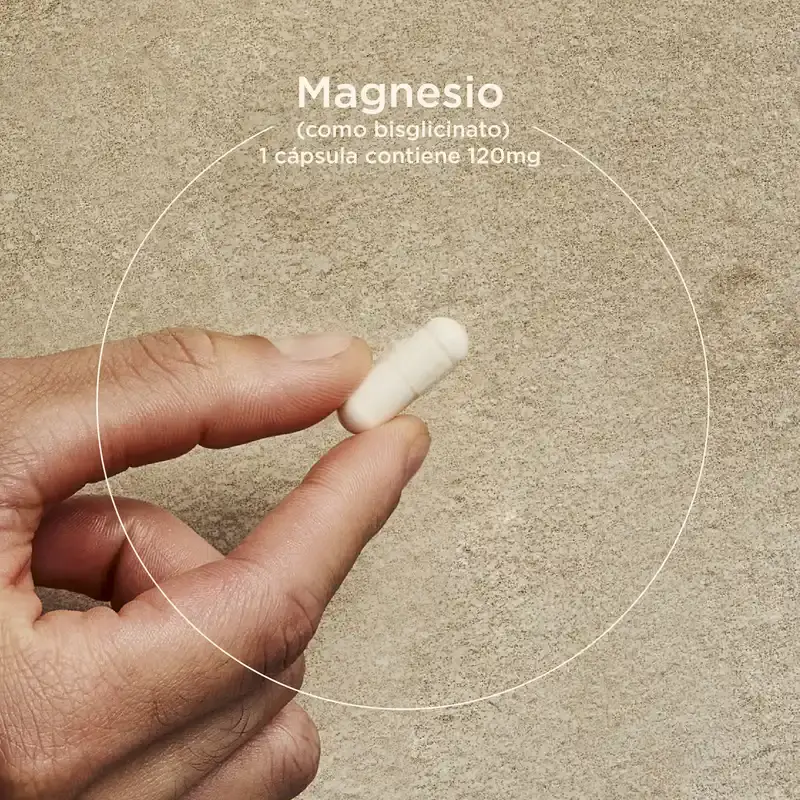 Solgar Magnesio Bisglicinato, 60 Cápsulas Vegetales - Image 7