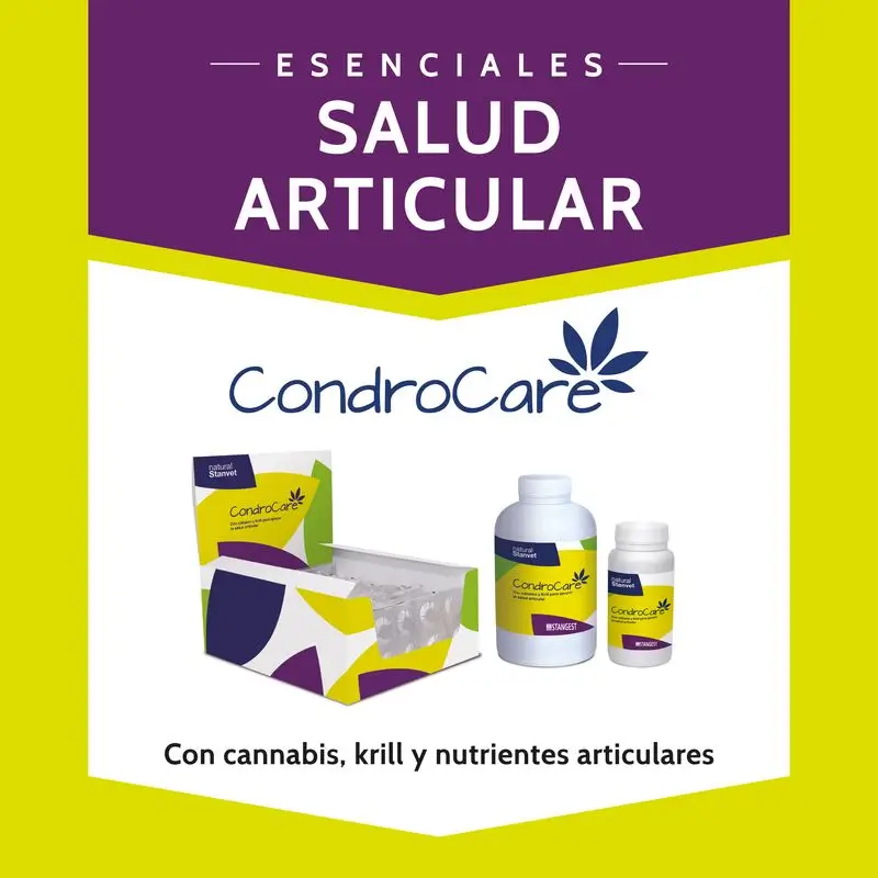 Stangest Condrocare 90 Comprimidos - Image 4