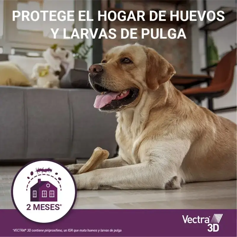Vectra 3D Perro +40 kg, Pack 2 x 3 Pipetas - Image 7