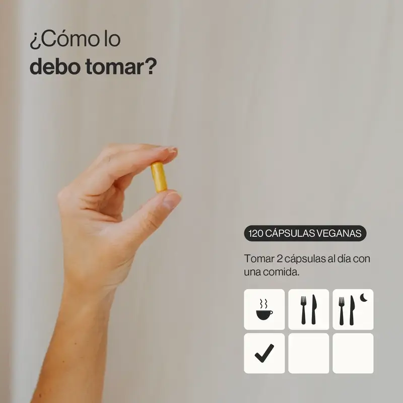 Zenement Cúrcuma Ecológica, 120 cápsulas veganas - Image 3